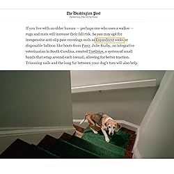 EXPAWLORER Anti Slip Dog Socks to Prevent Licking