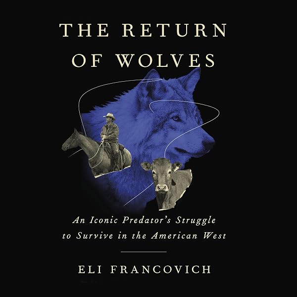The Return of Wolves: An Iconic Predator's Struggle to Survive in