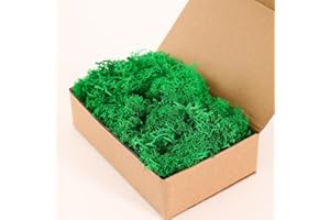 Dallisten Moss Preserved, Craft Reindeer Green Decorative Moss for Enchanted Forest Decorations, Fairy Garden, Party, Art Wall, Indoor Potted Plants,Table, Terrariums, Bonsai Decor (2Green,3.6OZ)