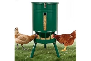 KOL 50 lbs Heavy Duty Galvanized Steel Chicken Feeder – Tall Outdoor Poultry Feeder with 16 Large Feeding Ports, Rust-Resista