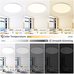 KIWIVIC 24 Inch Flush Mount Ceiling Light with