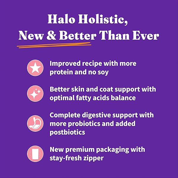 HALO HOLISTIC KITTEN FOOD, WILD CAUGHT SALMON & WHITEFISH RECIPE, GRAIN FREE DRY CAT FOOD, COMPLETE DIGESTIVE HEALTH, 6 LB BAG