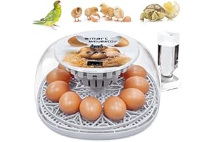 YJDayy Incubators for Hatching Eggs 12-24 Eggs Incubator with Automatic Egg Turning and Humidity Temperature Control Small Poultry Incubator for Hatching Chicken Quail Duck Bird Eggs