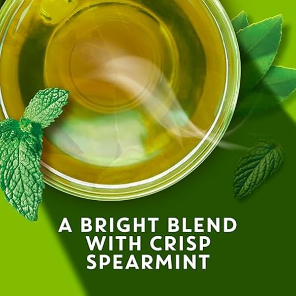TAZO ORGANIC ZEN GREEN TEA, CAFFEINATED TEA WITH REFRESHING LEMONGRASS & SPEARMINT, 36 TOTAL BAGS