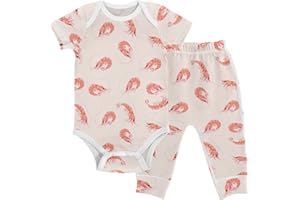 vvfelixl Baby Clothes Set - Cute Cartoon Pattern Bodysuits & Pants Set - Unisex 0-24 Months