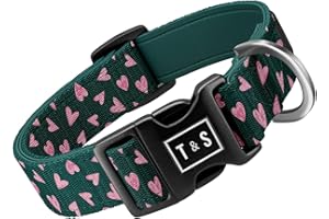 Tella & Stella Adjustable Dog Collar for Small Dogs – Soft Neoprene Lining for Comfort – Waterproof & Durable Design – 9 in t