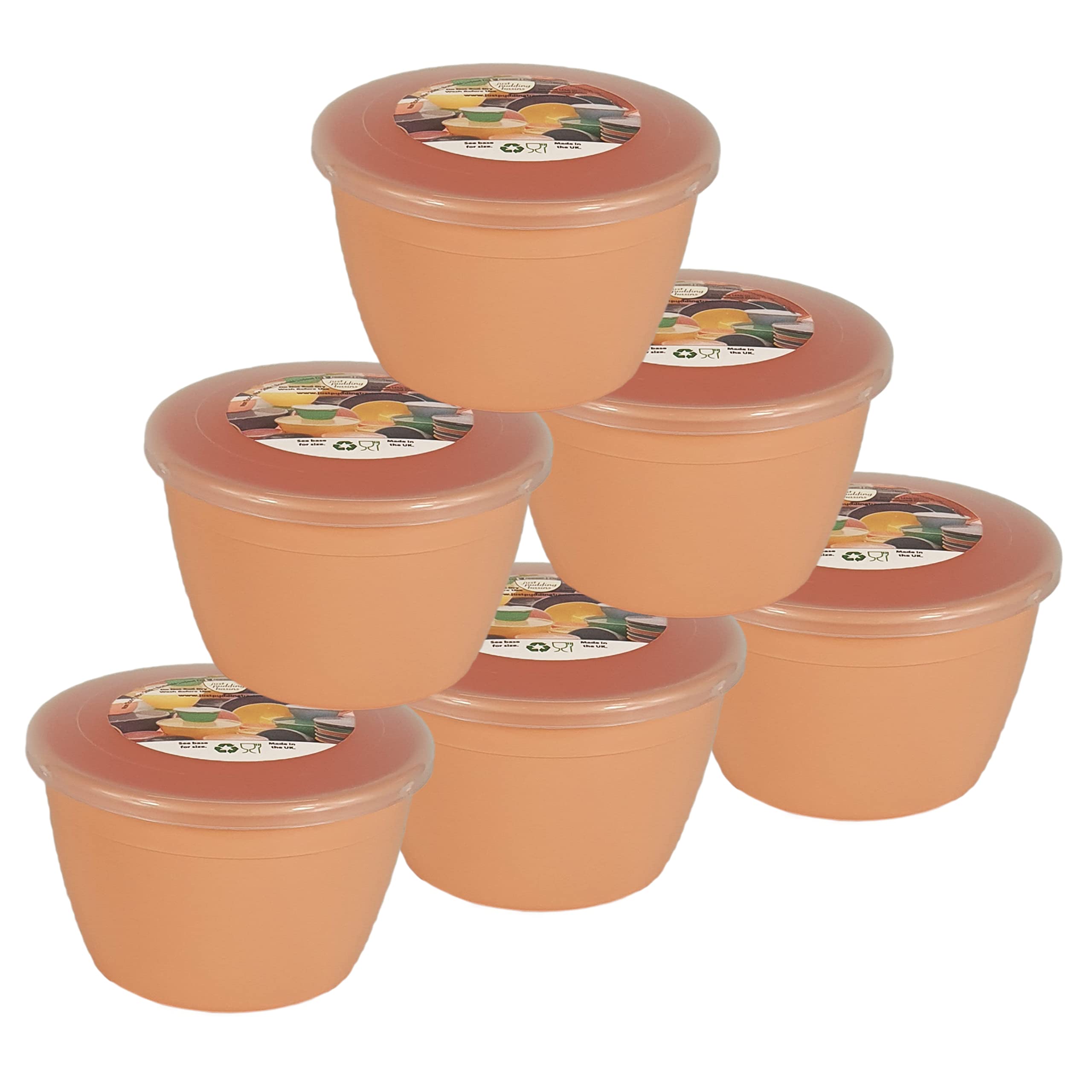 Just Pudding Basins Pastel Colours 1/2 Pint 0.5pt Basin and Clear Lid Pack of 6 Plastic Steaming Bowls (Peach)