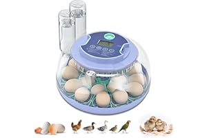 CLISEVE Egg Incubator for Hatching Chicks, Automatic Egg Turner Holds 18 Eggs, Smart Incubator 360° Clear Window with Temperature and Humidity Display Egg Candler for Small Poultry Ducks Quails Eggs