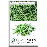 Burpee Stringless Green Bean Seeds (Phaseolus vulgaris) &ndash; 50+ Non-GMO Heirloom Seeds by Isla&rsquo;s Garden Seeds, Crisp Tender Pods with No Strings, Easy to Grow for Raised Beds &amp; Summer Harvests