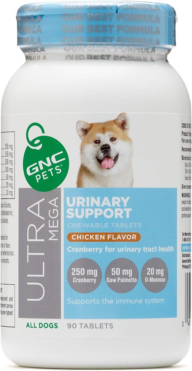 saw palmetto for dogs