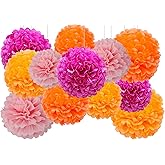 12pcs Hot Pink and Orange Tissue Paper Pom Poms,Hanging Paper Pompoms for Pink Orange Party Decoration