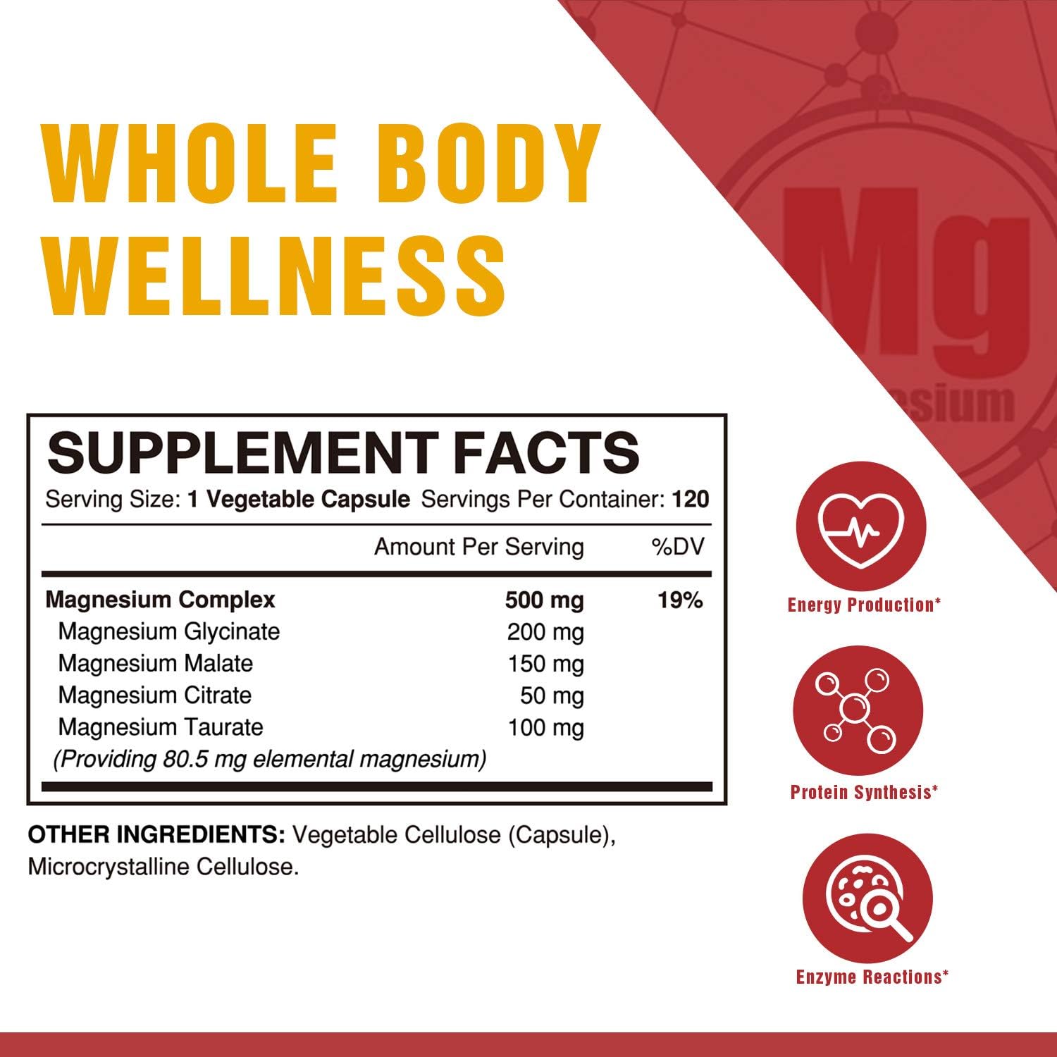 Vitalitown Magnesium Complex, Magnesium Glycinate, Malate, Taurate & Citrate, Chelated Forms, High Absorption, Bone, Heart, Muscle, Immune, Brain, Heart, Energy, Sleep & Digestion, Non-GMO: Musical Instruments