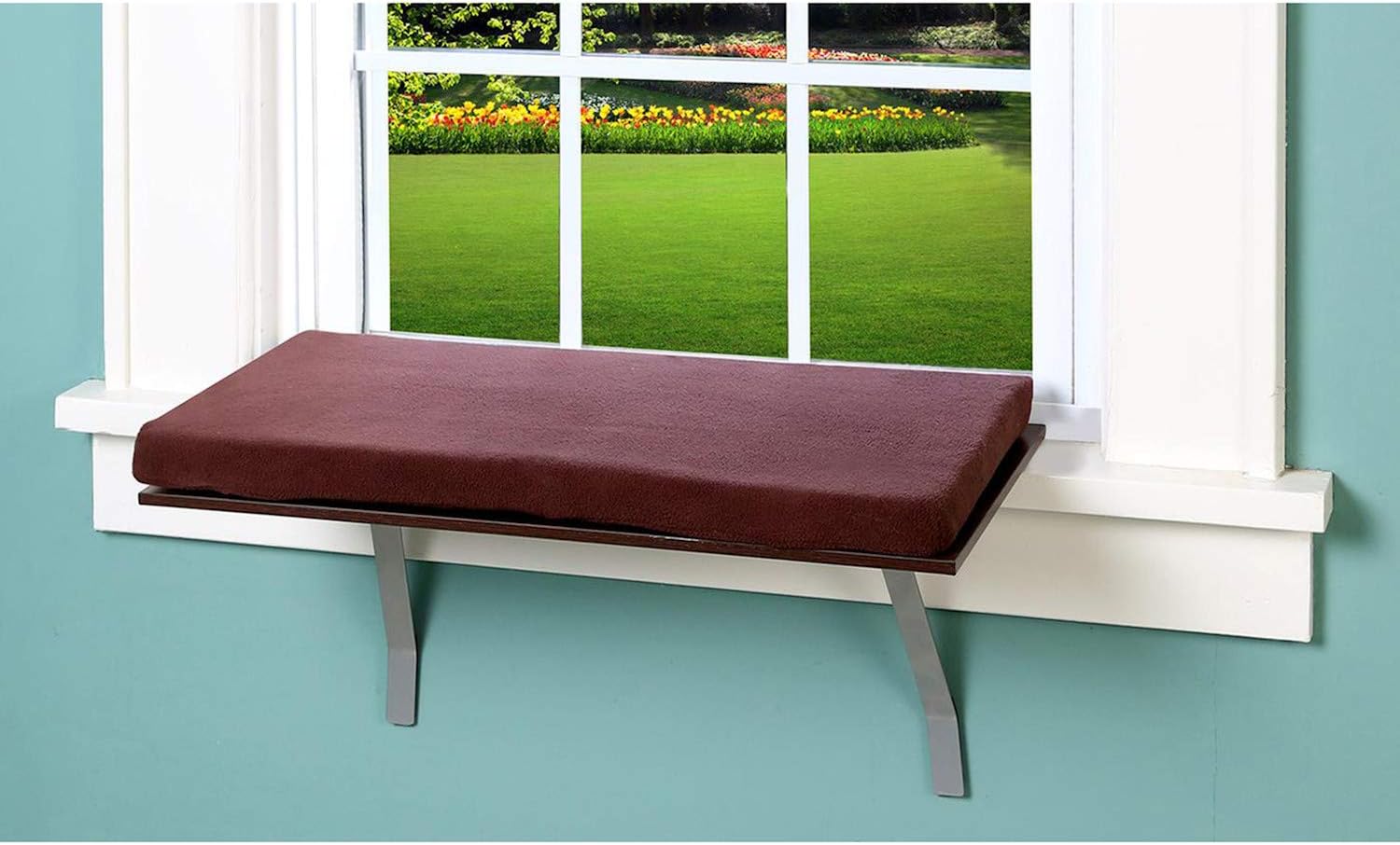 Pet Store Cat Window Perch : Pet Supplies