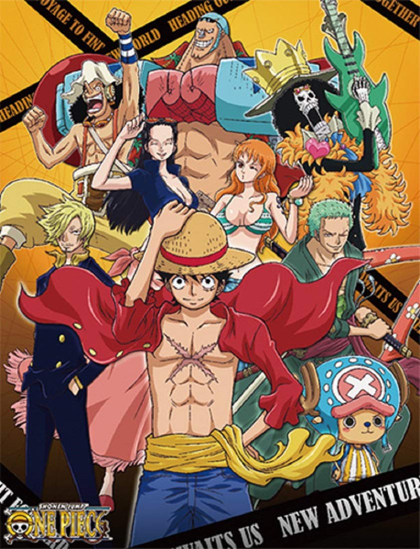 One Piece Anime Throw Blanket Luffy Zoro Sanji Nami And Crews New World Buy Online In Romania At Desertcart Ro Productid