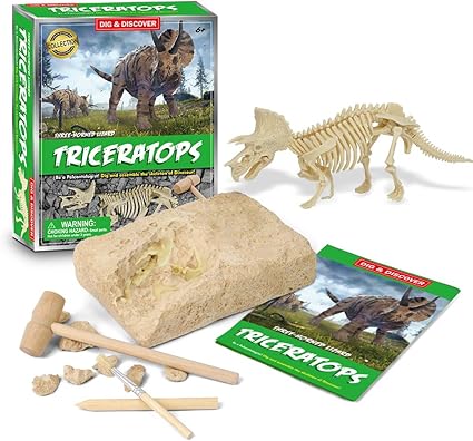 dinosaur excavation toy