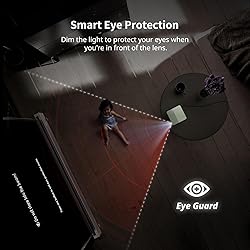 WEMAX Laser Projector, Netflix Officially