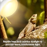 Caldarax 2 Pack 75W Reptile Heat Lamp E27 Daylight Bulb UVA Bearded Dragon view 5