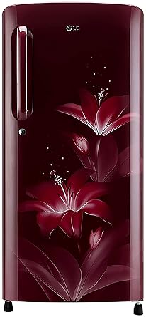 LG 190 L 5 Star Inverter Direct-Cool Single Door Refrigerator (GL-B201ARGZ, Ruby Glow)