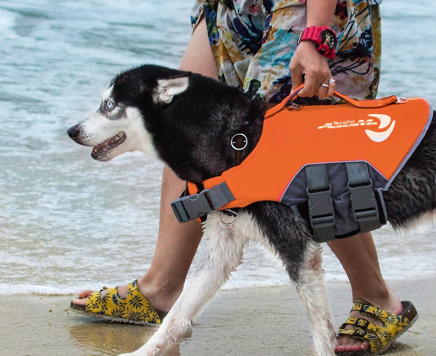 Amazon Thinkpet ペットライフジャケット 水泳用ライフジャケット 高密度 水遊び 浮力が優れる 犬の安全に守る Thinkpet レインコート ライフジャケット 通販 Amazon Thinkpet ペットライフジャケット 水泳用ライフジャケット 高密度 水遊び 浮力が優れる 犬の安全に守る Thinkpet レインコート ライフジャケット 通販