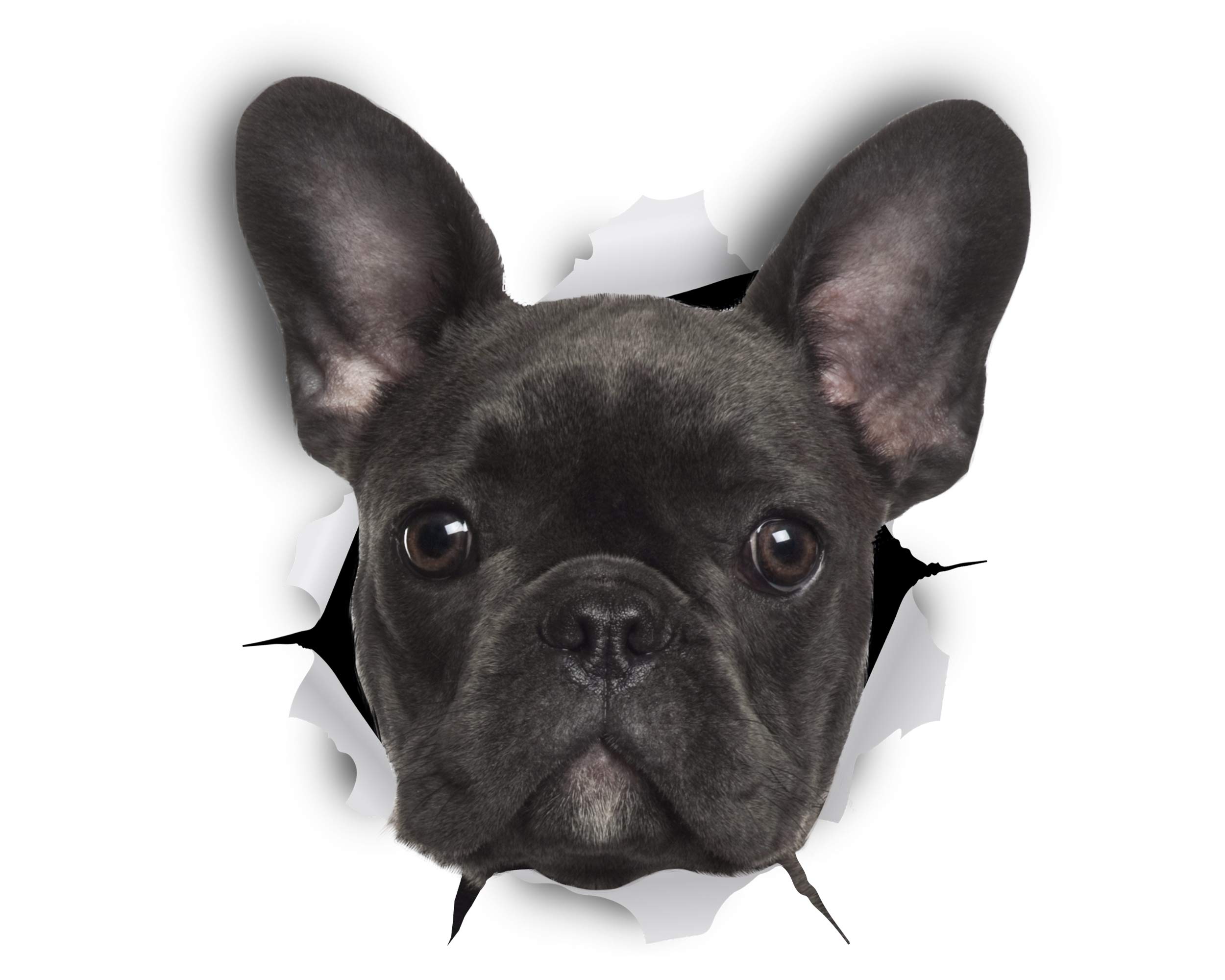 Winston & Bear French Bulldog 3D Dog Stickers - 2 Pack - French Bulldog Decor - Black French Bulldog Gifts for Wall, Fridge, Toilet and More - Retail Packaged Frenchie Stickers