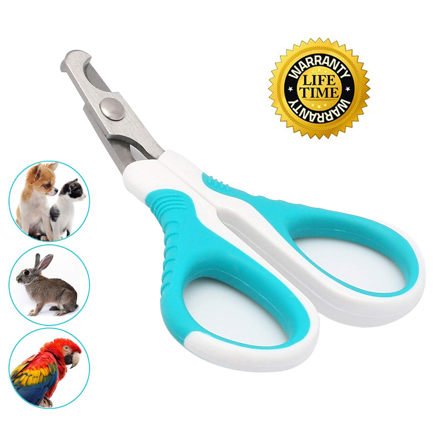 How Much For Cat Nail Clippers at Angela Cornwall blog