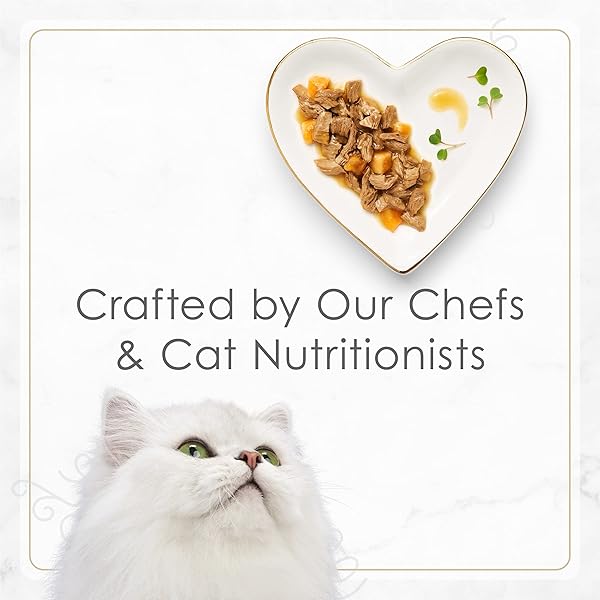 PURINA FANCY FEAST PETITES WITH ROASTED TURKEY ENTRÉE WITH SWEET POTATO IN GRAVY GOURMET WET CAT FOOD – (PACK OF 12) 2.8 OZ. TUBS