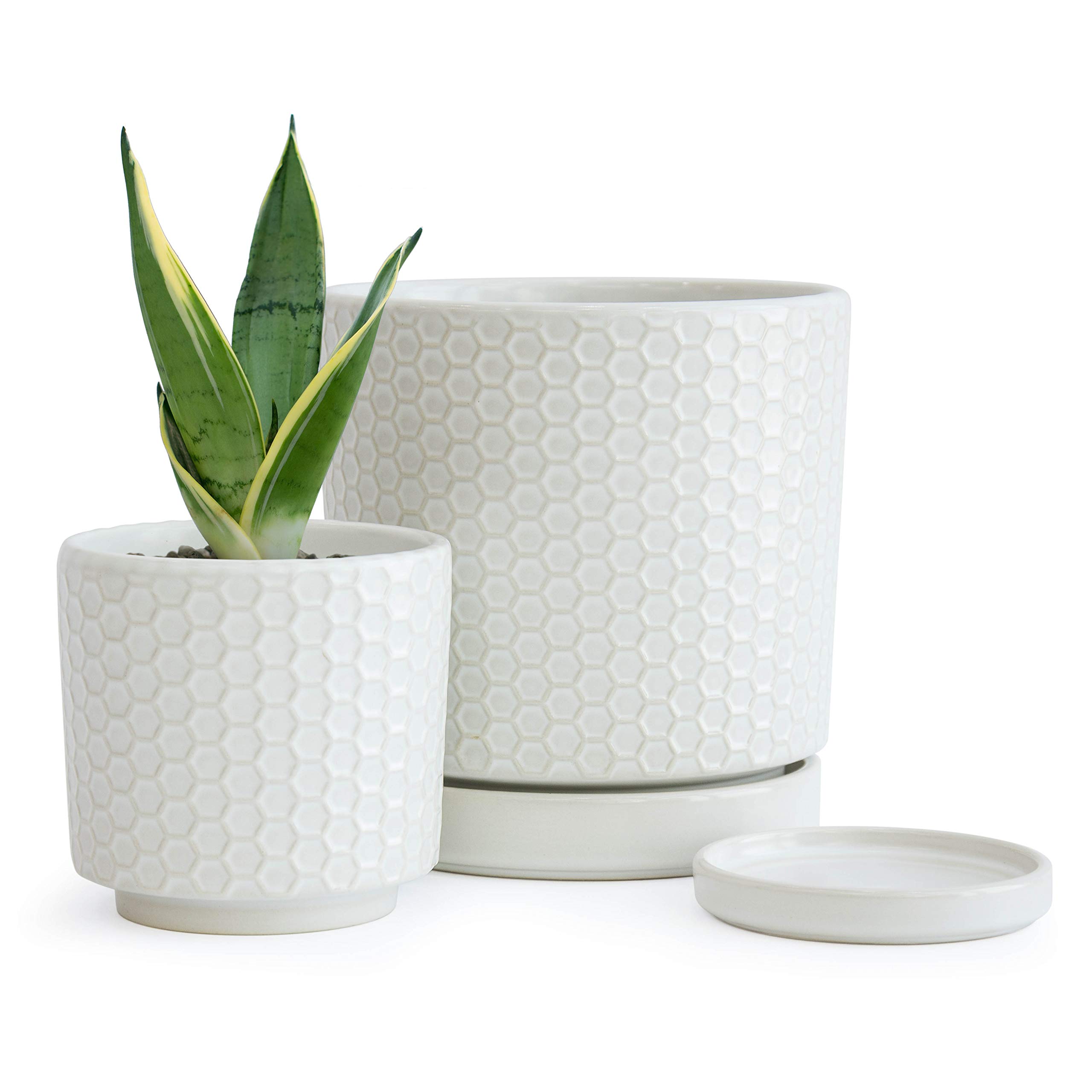 Set of 2 Modern Matte White Honeycomb Embossed Ceramic Planter Pot with Saucer and Drainage Hole, 4 Inch & 6 Inch, 99-91-BE
