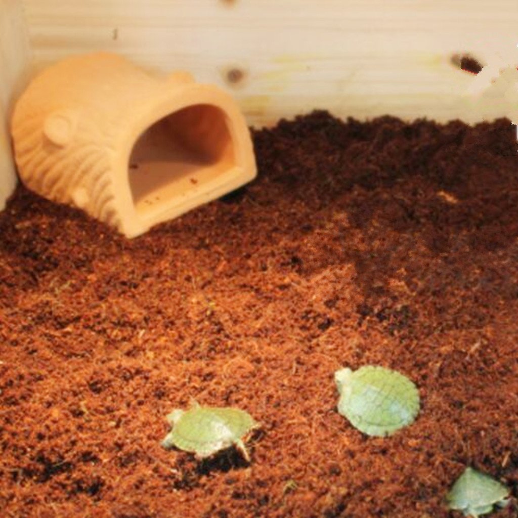 Soilless Coconut Husk Fiber Loose Coco Coir Pet Bedding Coconut Substrate