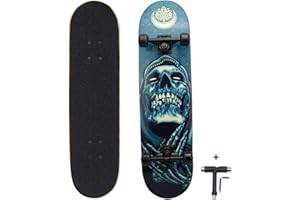 Dreambeauty 31 inch Pro Skateboard Complete,7 Layer Maple Wood Double Kick Concave Skateboards, Tricks Skateboards for Teens, Beginners, Girls, Boys, Kids, Adults (Pray)