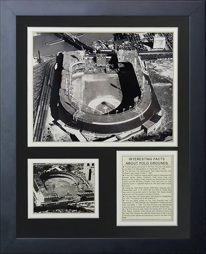 new york giants polo