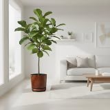 KORAD Extra Large Wood Effect Flower Planter Gloss Pot with Saucer 32 cm view 3