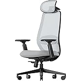 ProtoArc Ergonomic Office Chair – EC200 High-Back Mesh Computer Chair with Lumbar Support, 3D Adjustable Headrest & Sliding Seat for 8+ Hour Comfort, Big & Tall Home Office Desk Chairs - Gray