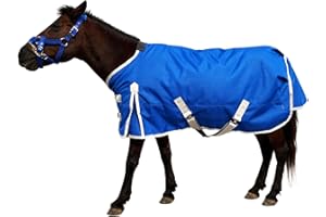 AQINGR Miniature Horse Pony Horse Blanket, 1680D Winter Turnout Blanket for Pony Breeds/Small Pony/Tiny Horse/Small Breed Horse/Foal, Medium Weight with 280g Polyester Poly Filling Liner(55inch, Blue)