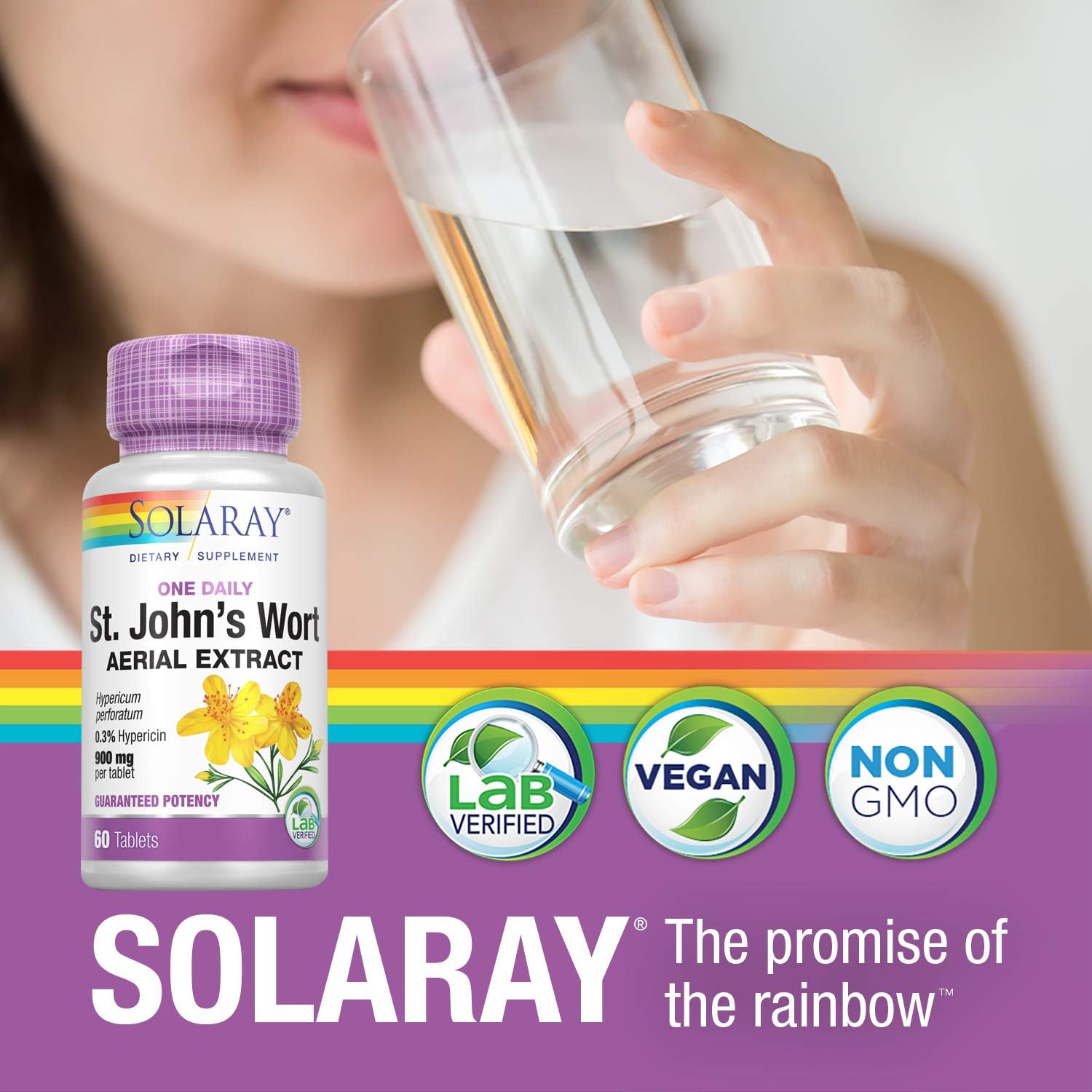 Solaray St. Johns Wort Aerial Extract One Daily 900mg | Standardized w/ 0.3% Hypericin for Mood Stability & Brain Health Support | Non-GMO | 60 Ct: Health & Personal Care