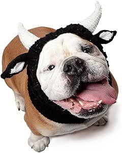 bulldog costumes