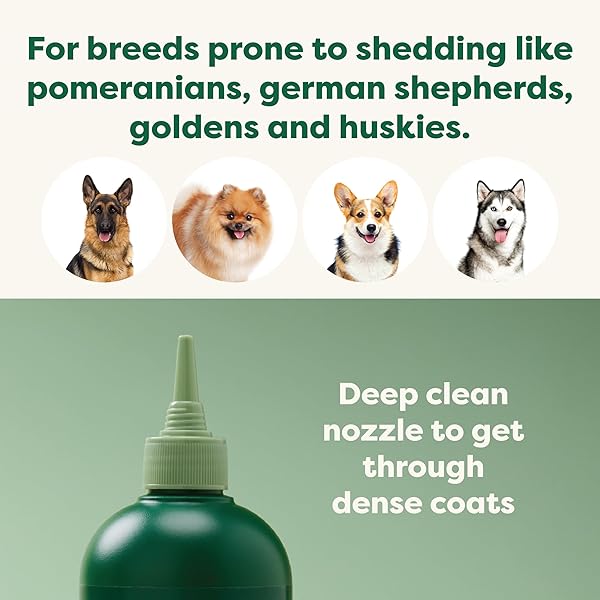EARTH RATED 3-IN-1 DESHEDDING DOG SHAMPOO AND CONDITIONER, DEODORIZING OATMEAL SHAMPOOS FOR DOGS AND PUPPIES, GREAT FOR SMELLY PETS, WHITE TEA AND BASIL SCENT, 16 OZ