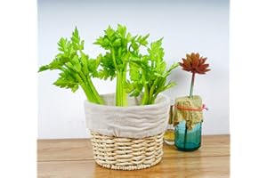 Zzooi Artificial Celery with Leaves for Cabinet Showcase Decoration 1PCS