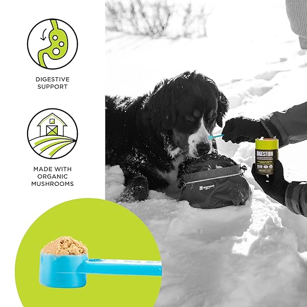 BIXBI DOG & CAT CLEAN DIGESTION SUPPORT, 2.12 OZ (60 G) – ALL NATURAL ORGANIC PET SUPERFOOD – DAILY MUSHROOM POWDER SUPPLEMENT – USA GROWN & USA MADE – VETERINARIAN RECOMMENDED FOR DOGS & CATS