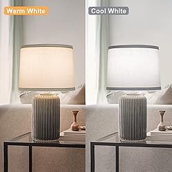 Lampshades Set of 2 for Table Lamps, Floor