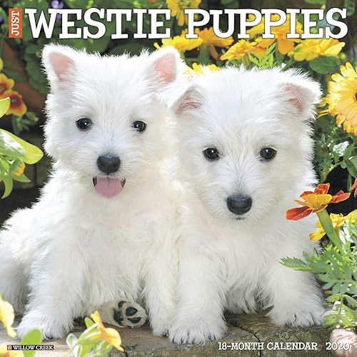 Download Just Westie Puppies 2020 Calendar PDF