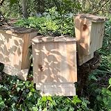 Selections Large Wooden Bat Box Roosting Nesting Single Chamber Grooved Interior view 6
