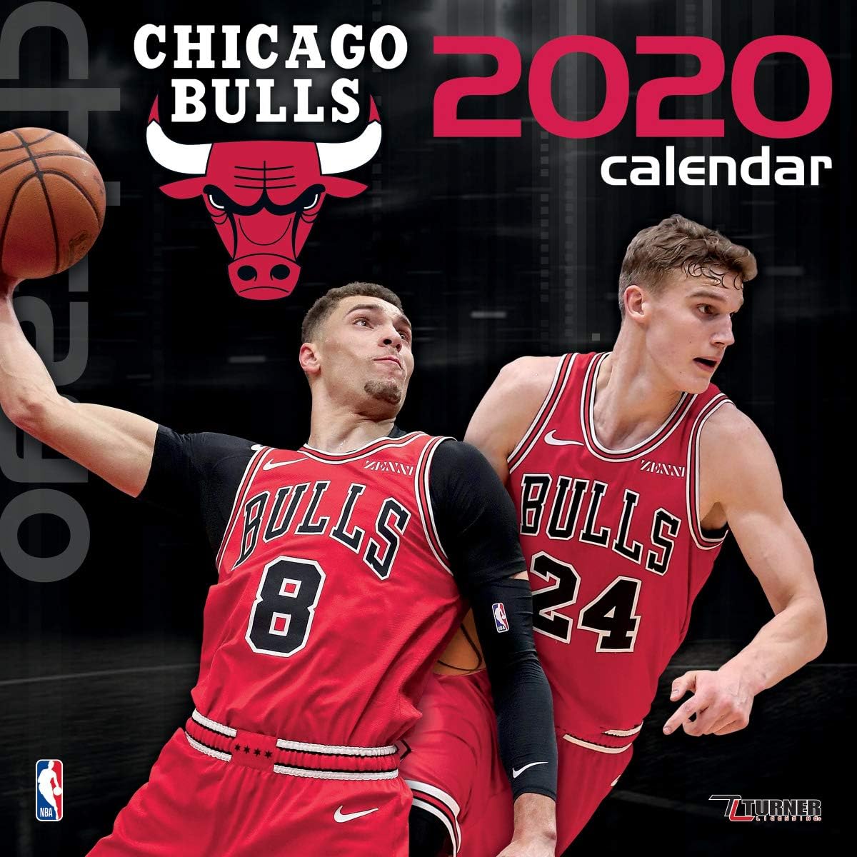 chicago bulls 12 jersey