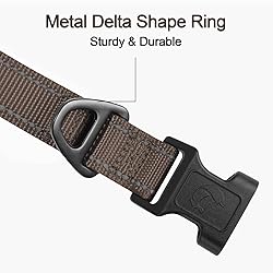 Joytale Reflective Dog Collar, Soft Neoprene