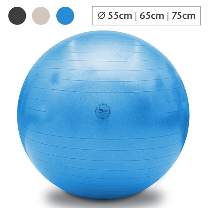 aktivshop Fitnessball Gymnastikball Sitzball Fitness Ball Yogaball Sportball Anti-Burst Büroball Schwarz, Silber, Blau 55 cm,