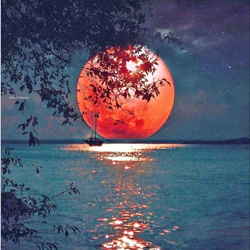 5D Diamond Painting Kit Full Moon Full Drill Diamond Embroidery Painting DIY Embroidery Cross Stitch Painting for Home Wall Decor (NO.6)