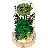 Regalo Flor Preserved Roses & Fresh Flowers Bouquet – Gift for Women, Roses That Last Forever, Flowers for Delivery Prime, Green Roses – Birthday, Mother’s Day & Christmas
