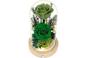 REGALO FLOR Flowers, Roses, Gifts–Flowers Bouquet & Forever Flowers for Delivery Prime - Preserved Flowers Birthday Gift for Women, Valentine's, Mother's Day, Christmas–Lasting Fresh Roses, Battery Included