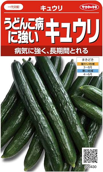 Amazon サカタのタネ 実咲野菜0430 うどんこ病に強いキュウリ 野菜