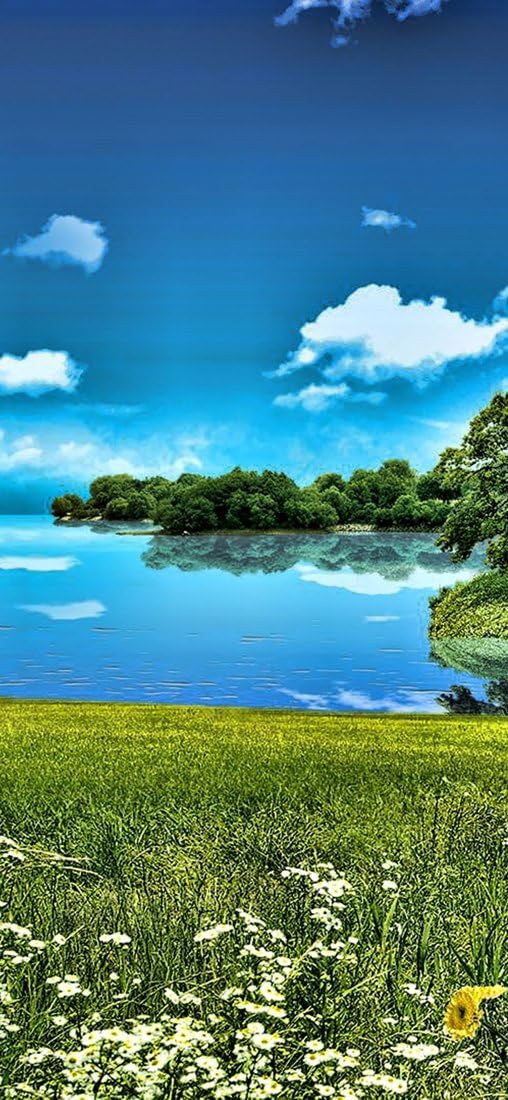 PeelitStickit, Beautiful Nature Wall Murals, ID-1360, vinyl, Multi-colour