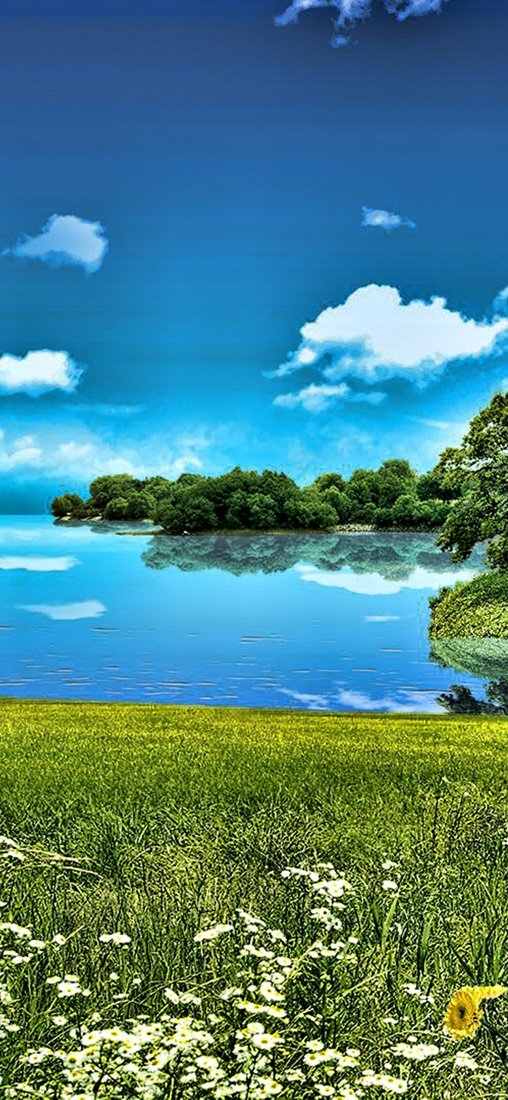 PeelitStickit, Beautiful Nature Wall Murals, ID-1360, vinyl